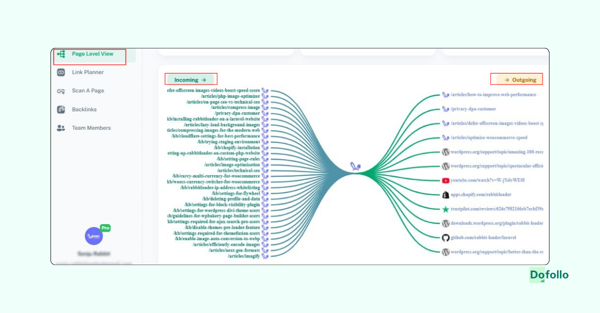 Internal Link types incoming and outgoing